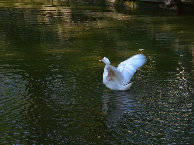 热得不行？来这里透透气！
