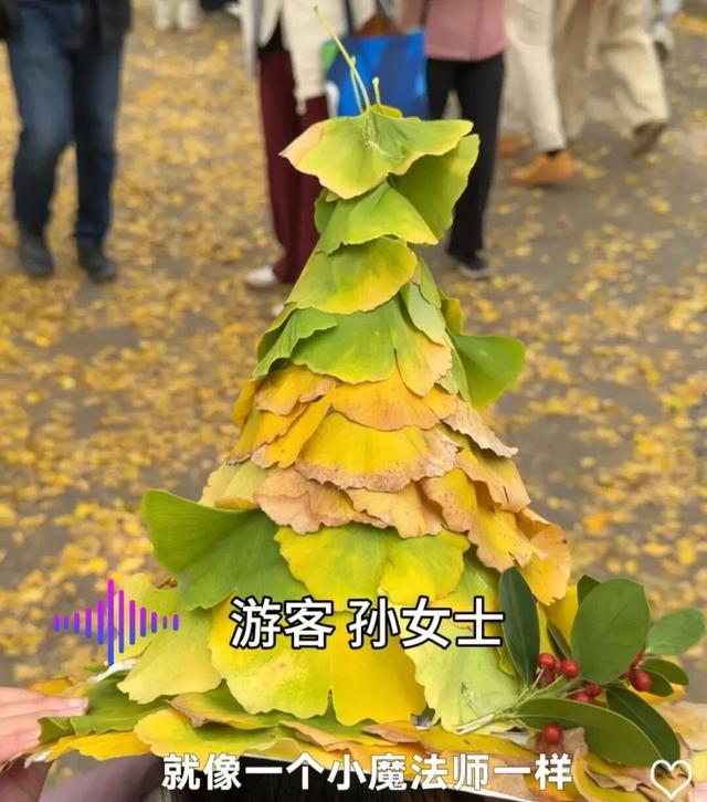 青岛八大关，乌泱泱的人为一件事而来！一款“魔法帽”火了！现场照片→