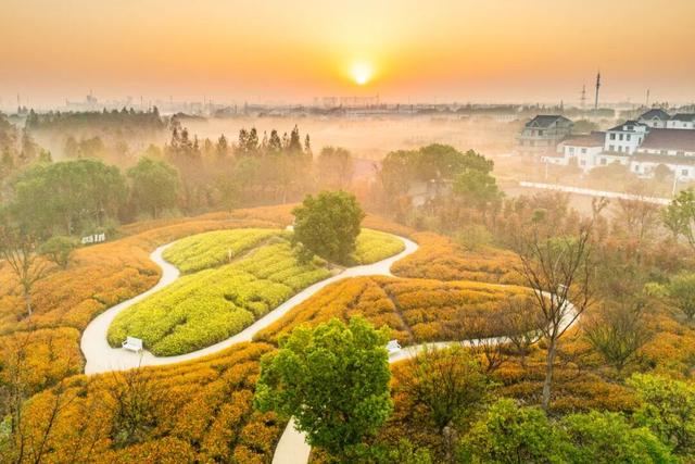 现在的金山是什么颜色？答案藏在这片…