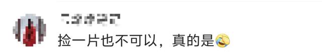 景区禁止游客捡枫叶是小题大做吗