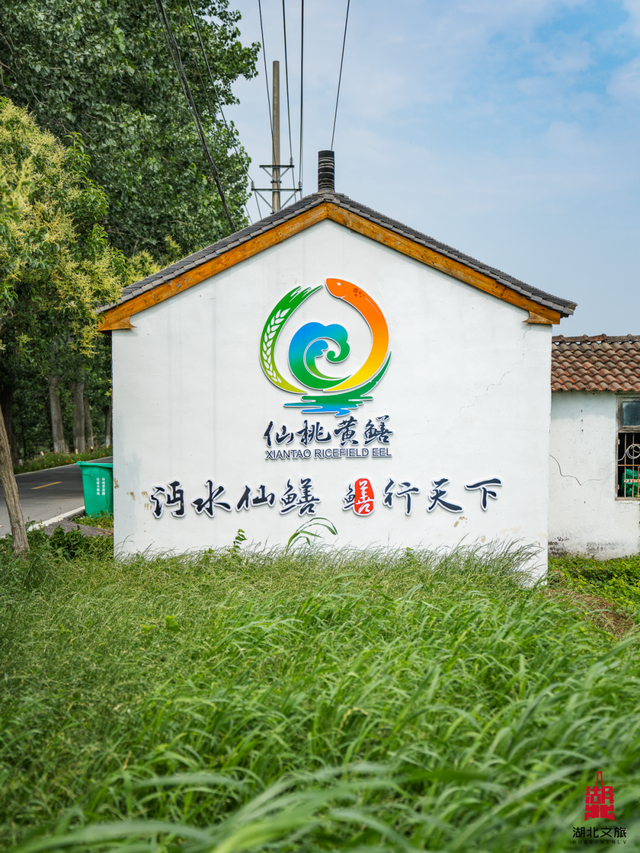 北北亲测！仙桃够味！福利加倍！