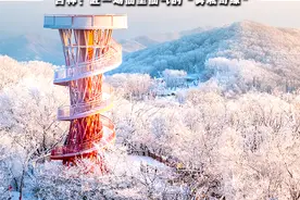 吉林：今冬，赴一场仙里仙气的“雾凇奇缘”图片