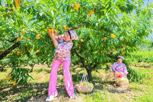 人这一辈子，一定要去一趟奉化！