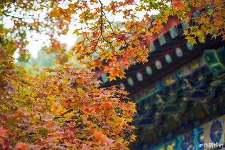 收藏秋日！秋天是写在古都的诗篇
