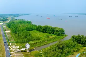 安徽芜湖：长江岸线水清岸绿景美图片