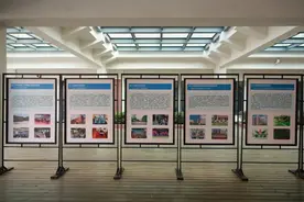 11个成员单位跨学段共享教育资源，“让大众教育更优质”图片