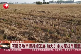河南多地旱情持续发展 加大引水力度抗旱灌溉视频封面