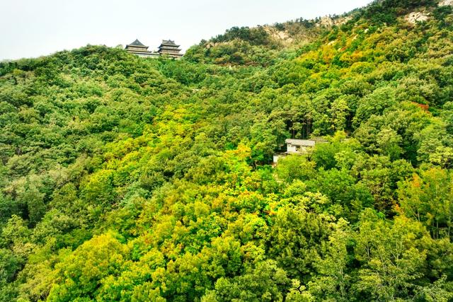 山海一画秋意浓