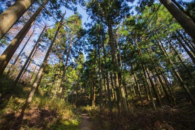 Hi走奉化③ | 拿下最高峰！蜘蛛岭古道虽累，但这秋色值了！