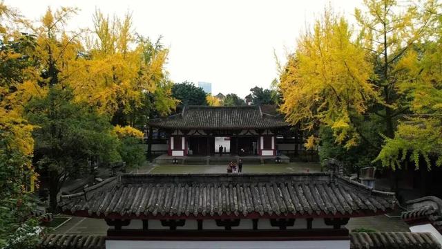 出发！来四川淘“金”