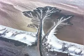 钱塘江出现壮观“冰雪潮汐树”图片