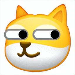 为什么是厦门？