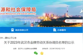 武汉市金牌劳动关系协调员名单公布图片