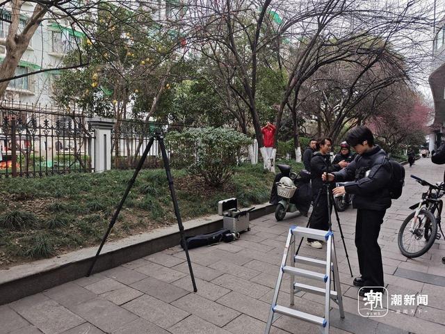 红梅与火车同框，杭州这处“限时款”美景又来了，有人从上海赶来打卡