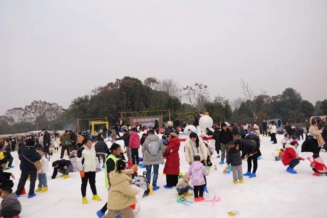 走，耍雪！双流人家门口的“冰雪王国”已开放！