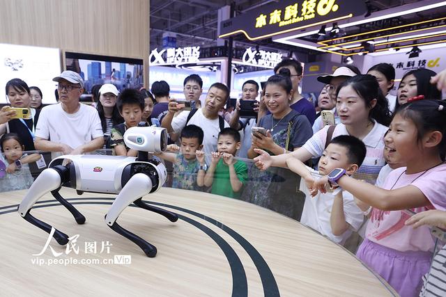 北京：世界机器人大会人气旺