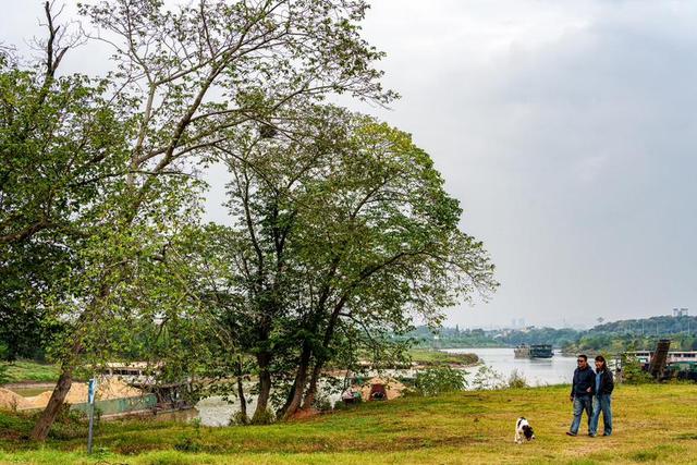 秋游白沙河草甸