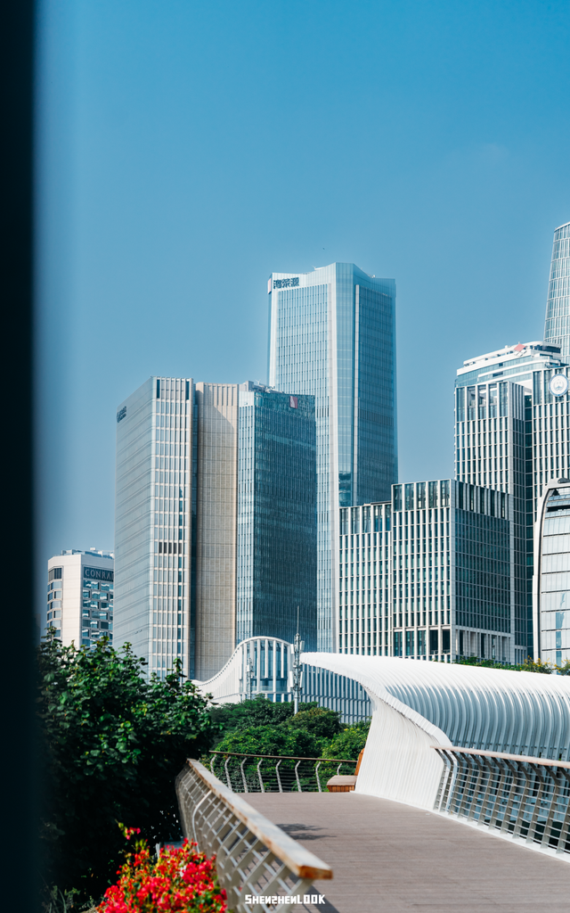 深圳湾的夜景再次升级 · 周末游玩指南