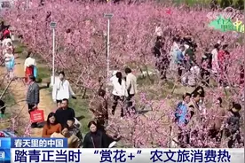 各地抓住“赏花流量”将其转化为“文旅消费增量” 农文旅市场掀热潮图片
