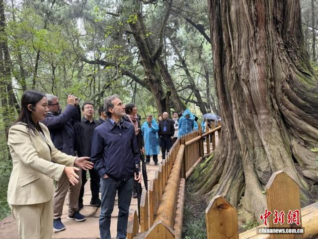 中意专家四川共话线性文化遗产保护 盼深化国际交流合作