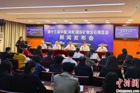 摘颗星星送给你 第十三届矿博会5月在郴州举行图片