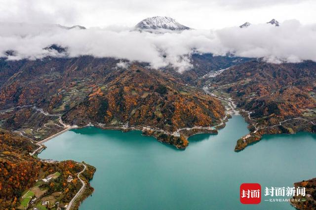 最佳观赏季来了 在红叶彩林间追逐初冬浪漫 | 图集