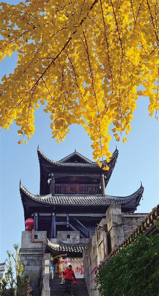 定格湘西“冬日秋韵”，拍照打卡正当时