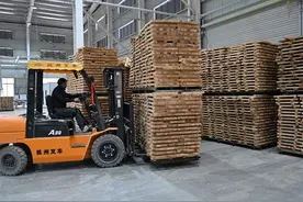 2025年一季度田林县经济奏响奋进强音图片