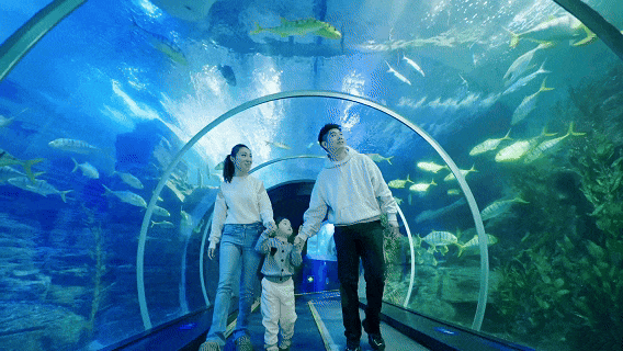 青岛家长都在找的“暖和遛娃宝地”：¥49.9在海底吃喝玩乐，孩子嗨玩妈不累