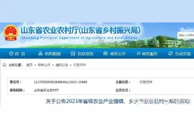 山东公布2023年省级农业产业强镇、乡土产业名品村名单图片