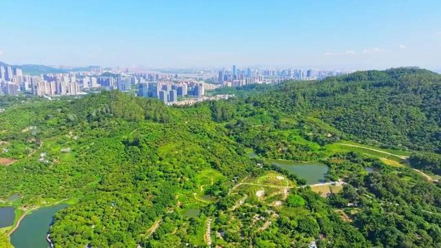 抓住节日的尾巴,缓游、慢游、悠游南沙~