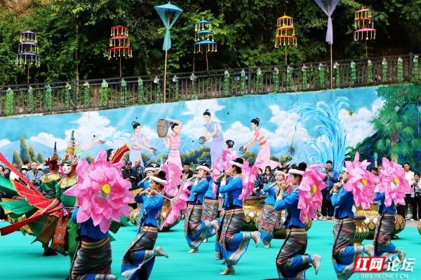 岁暖时刻丨西双版纳森林公园：彩裙碰彩伞，傣风裹着蕉香漫