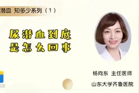 尿潜血 知多少系列（１）尿潜血到底是怎么回事？图片