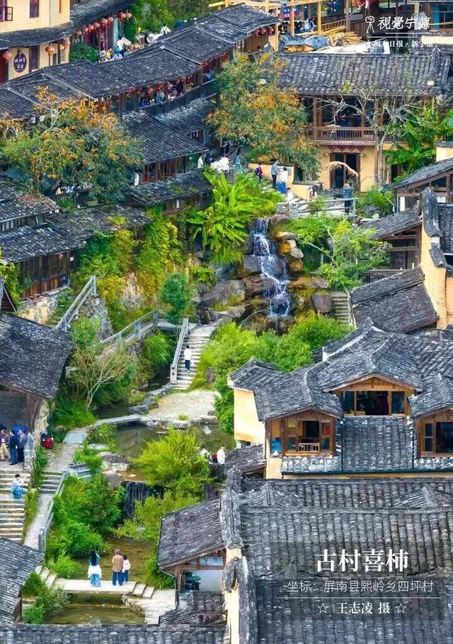 走！去屏南！这些柿子打卡点请收好→