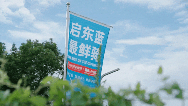 最鲜城市，请回答！