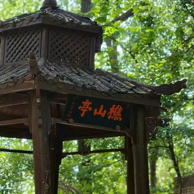 想在伊滨出片？这样拍满满故事感！