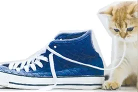 鞋带太长，那就系个双蝴蝶结吧？图片