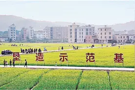 造绿美乡村 添惠民福祉图片