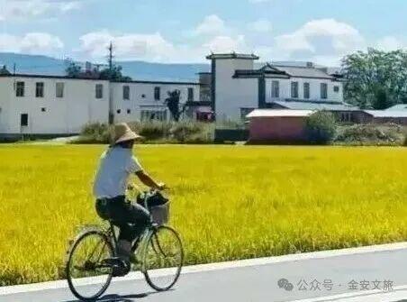 逃出浪浪山，来金安看一看！