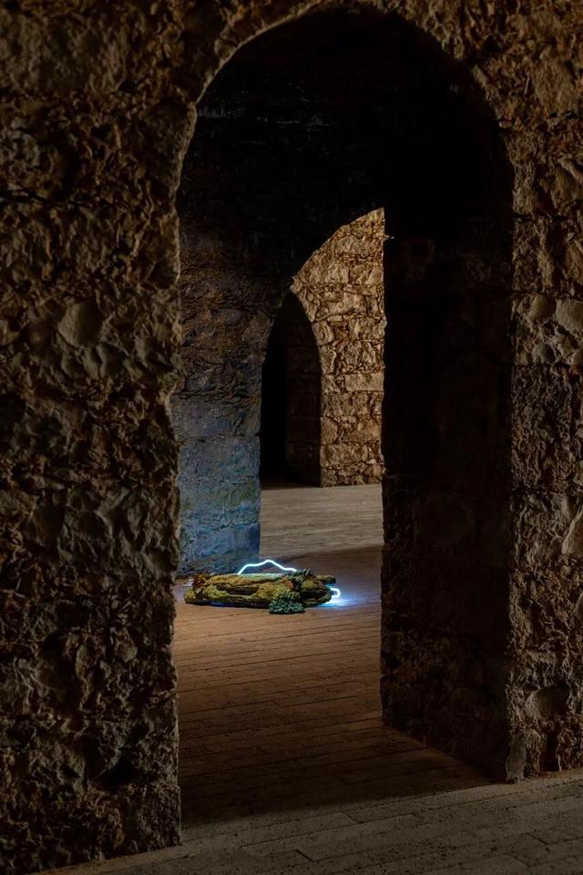 去大西洋，一直游到艺术的丰饶之海