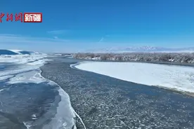 新疆昭苏：河面上开出朵朵“冰莲花”图片