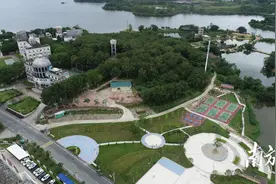 问策阳春17镇街丨岗美：“三个融合”，如何激发“镇”能量？图片