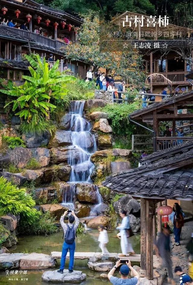 走！去屏南！这些柿子打卡点请收好→