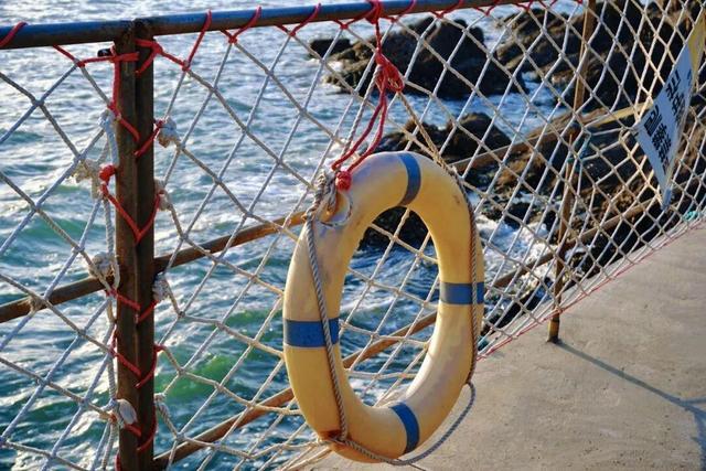 “鸥”遇环翠 “雪”舞浪漫丨威海这个地方，来一百次也不会腻