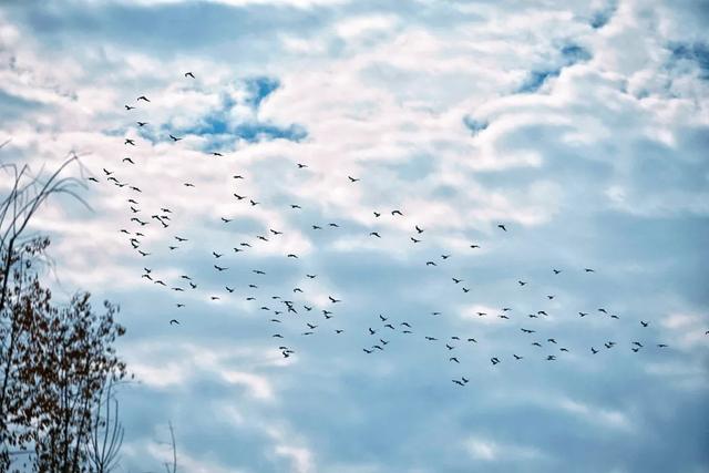 全部免费！西安4个冬日晒太阳好去处！