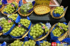 小丽逛菜场｜15元两斤，阳光玫瑰葡萄真的过气了？图片