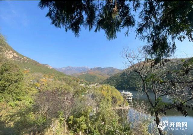 组图丨一大波美图来袭！泰山景区9个赏秋地超出片