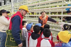 果蔬住进“空中智慧豪宅”，这样的满电服务助力亩产增8倍图片