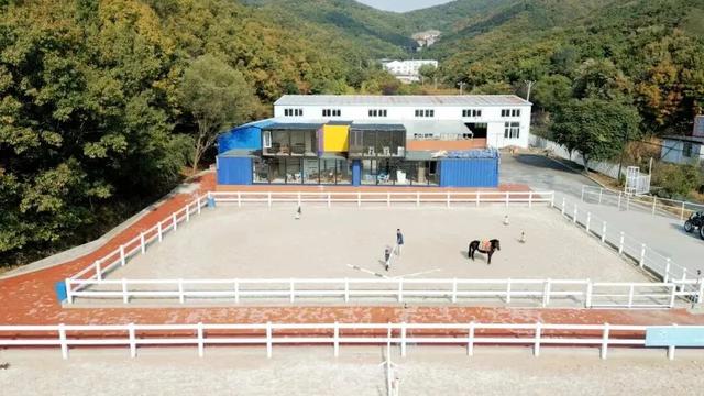 【甘井子全域玩转指南】南部西郊森林公园，踏入天然氧吧，与最美秋天撞个满怀，惬意又治愈