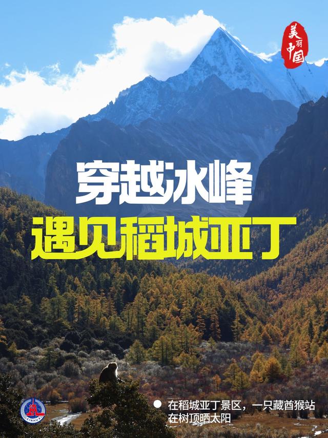 海报丨穿越冰峰 遇见稻城亚丁